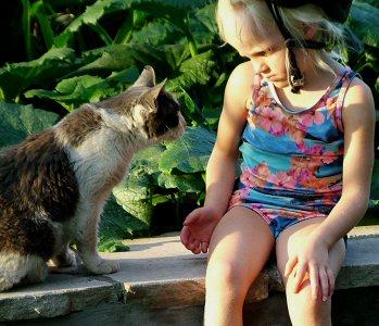 Ringworm Treatment