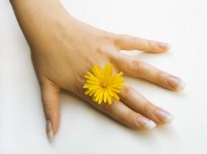 Hand and Flower