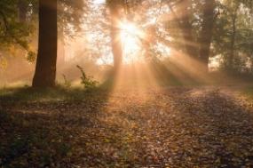 Sunrise