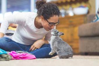 Woman rubbing noses with rabbit