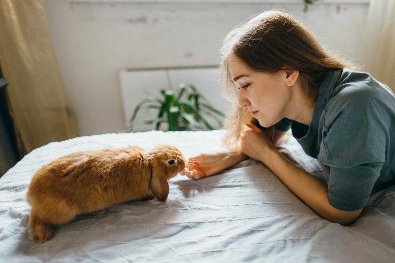 Pet Rabbits' Average Lifespan & How to Help Them Live Longer