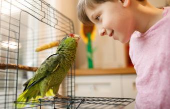 friendship between kid and parrot 