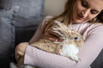 Young woman and her bunny pet