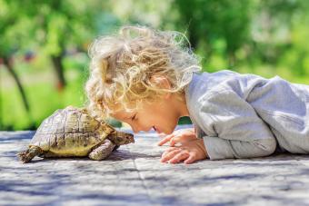 lovely boy with pet turtle
