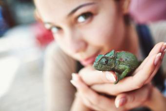Young Woman Holding Chameleon