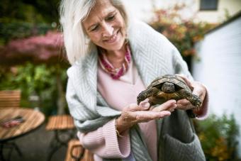 Smiling senior woman holding a tortoise in garden