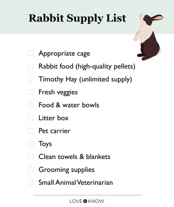 Rabbit supply list