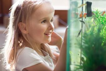 Happy girl looking at pet fish in a home aquarium