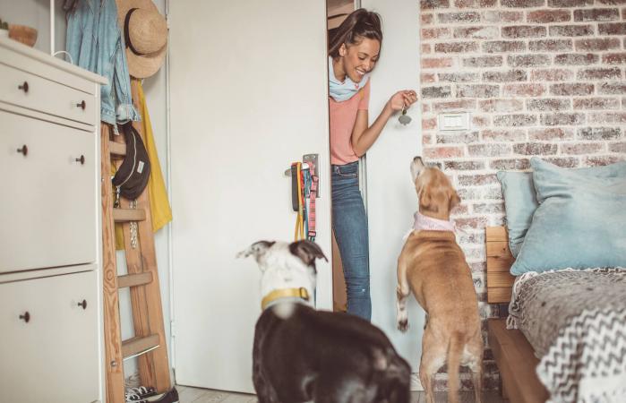 Dogs waiting for pet sitter