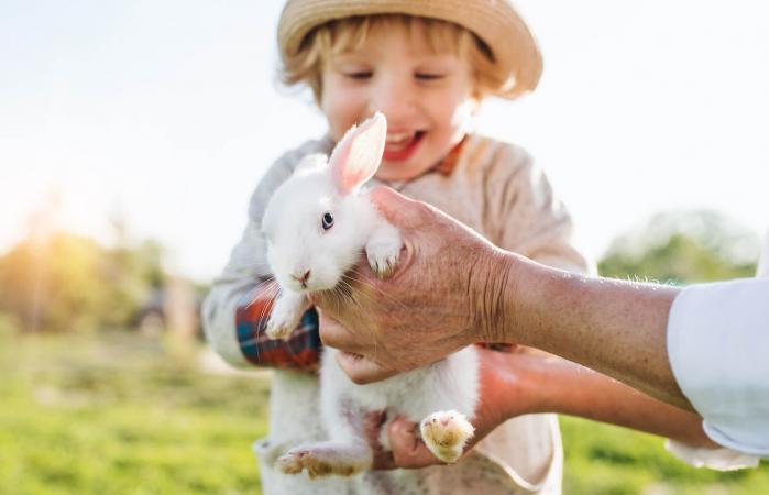 boy holding rabbit