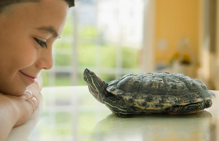 boy smiling at turtle