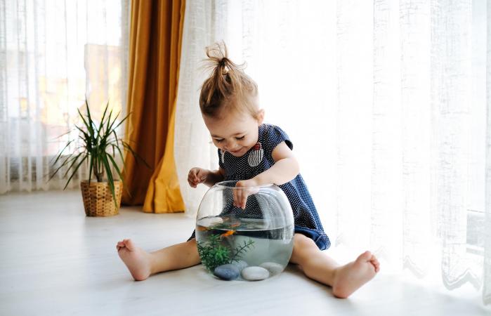 Cute child is feeding his goldfish