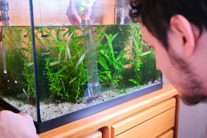 Man pumping out water to clean up the substrate in his aquarium