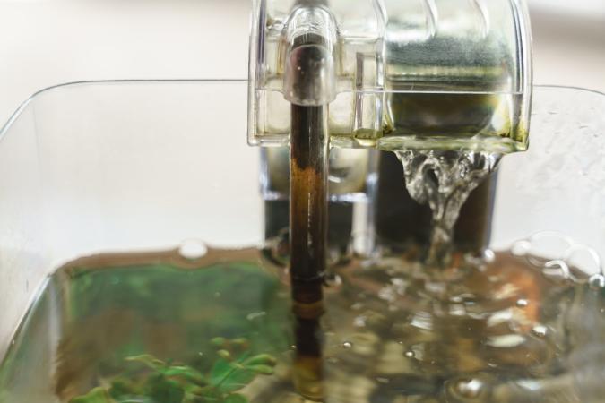 Dirty aquarium filter system