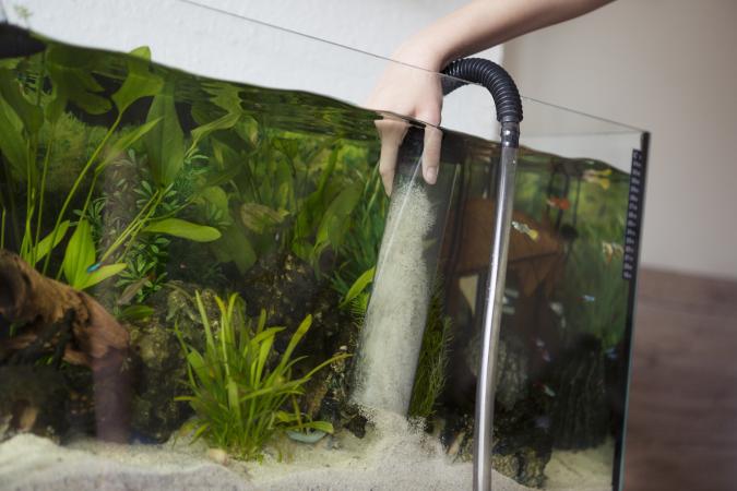 Gravel cleaning fish tank with a siphon pump
