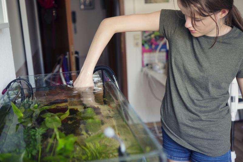 How to Clean Aquarium Plants: Safe & Effective Methods | LoveToKnow