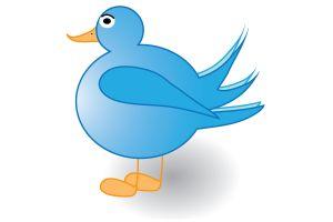 How to Automate Tweets