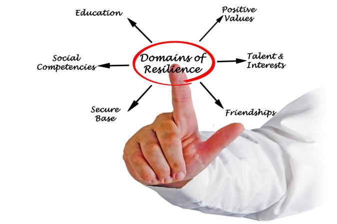 Domains of resilience