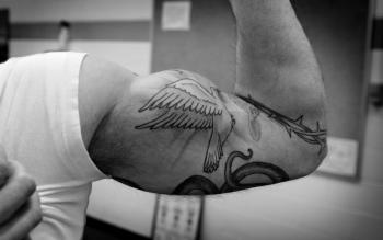 Dove tat on bicep