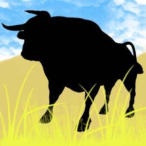 Bull Tattoo Art