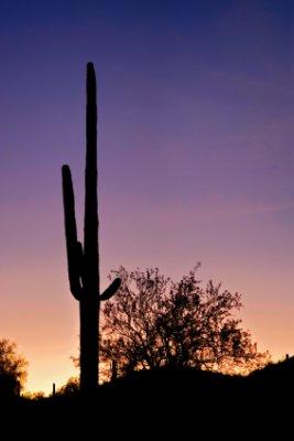Arizona_Parks.jpg