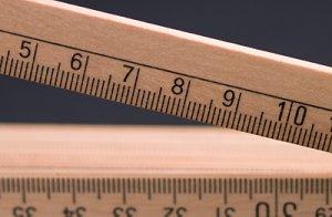 Tallest.jpg