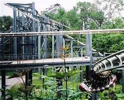 top gun roller coaster g force top gun roller coaster g force