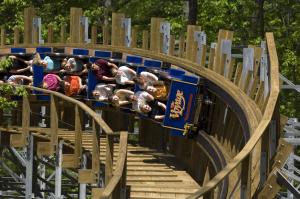 Voyage Roller Coaster