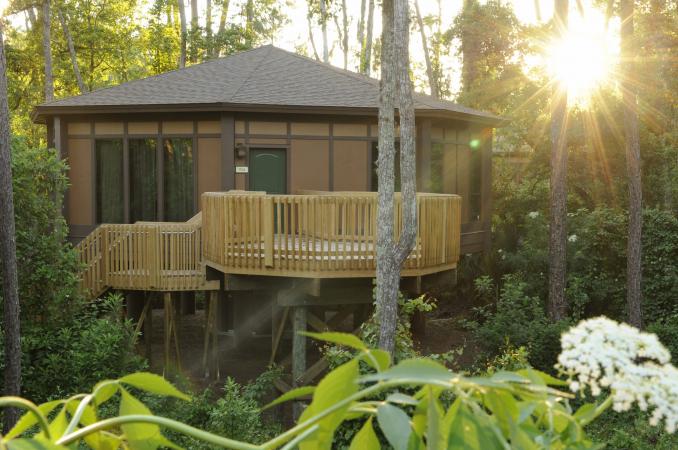 Treehouse Villas at Disney’s Saratoga Springs Resort & Spa