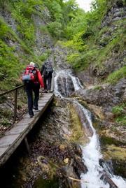 Hikers