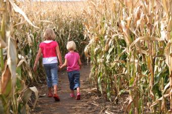 https://cf.ltkcdn.net/travel/images/slide/123490-849x565-Corn_Maze_Sisters.jpg