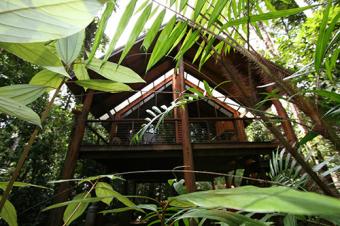 The Canopy Rainforest Tree Houses and Wildlife Sanctuary Treehouse