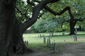 Salemgraves.jpg