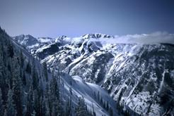 Aspen.jpg