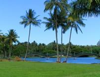 Hilo.jpg