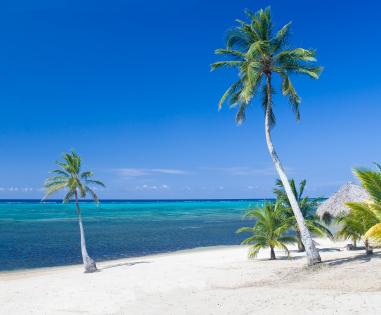 Resort Island