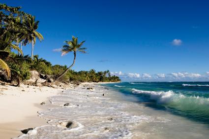 IStock_000003377842XSmall.jpg