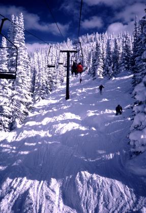 Snow_skiing.jpg