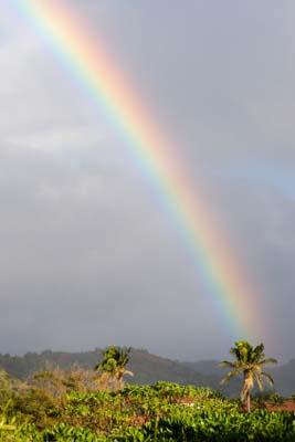 Kauai Rainbow
