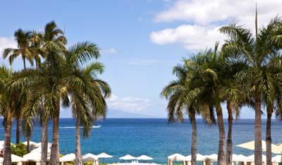 Hawaii Resort