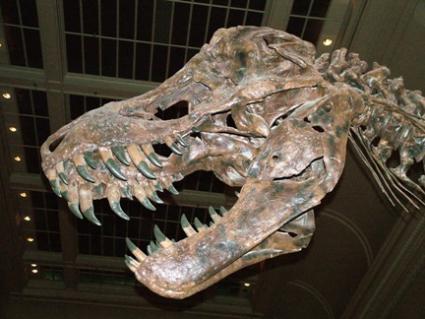 dinosaur.jpg