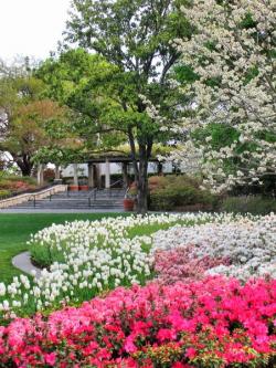 The Dallas Arboretum