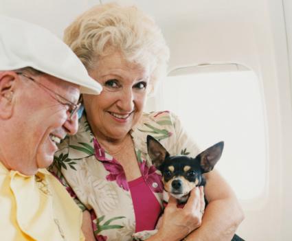 woman holding dog on plane