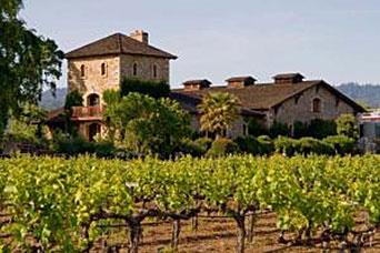 Napa Vineyard