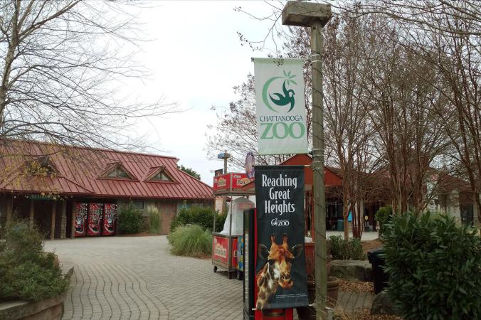 Chattanooga Zoo