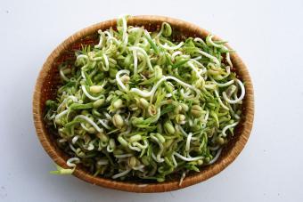 Fresh soy bean sprouts in wicker basket