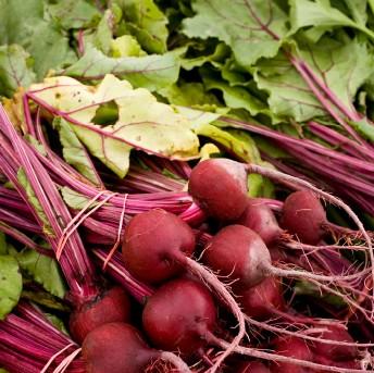 Facts About Beets
