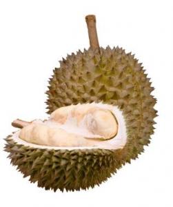 Durian.jpg