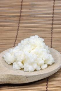 A Batch of Kefir Grains