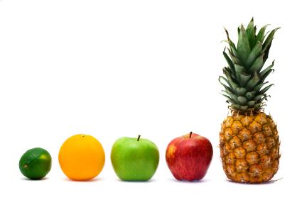 Staples of the fruitarian diet